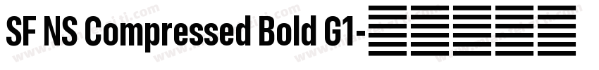 SF NS Compressed Bold G1字体转换